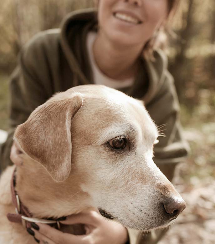 Une nutrition optimale pour vos animaux