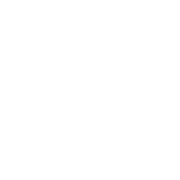 65 % de Agneau