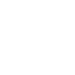 65 % de Bœuf