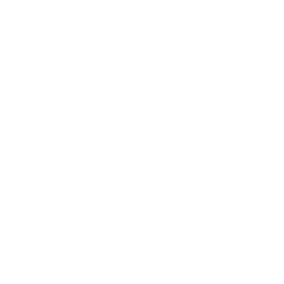 65 % de Bœuf