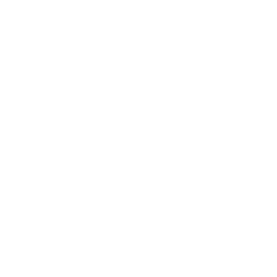 65 % de Dinde et de Porc