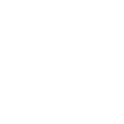 65 % de Poulet