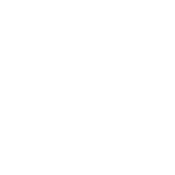 65 % de Poulet